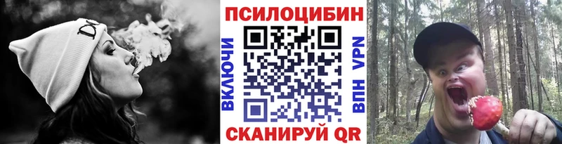 где найти наркотики  МЕГА ссылка  Галлюциногенные грибы Magic Shrooms  Дербент 